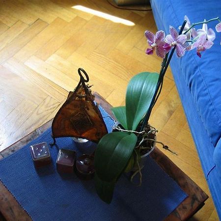 Maria-Rosa Guesthouse Róma Kültér fotó