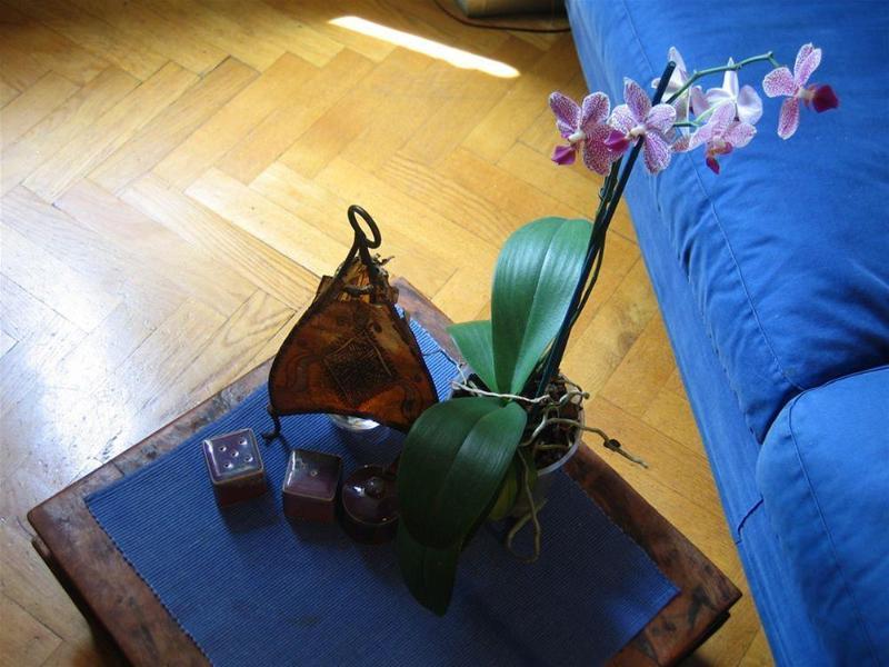Maria-Rosa Guesthouse Róma Kültér fotó