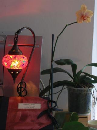 Maria-Rosa Guesthouse Róma Kültér fotó